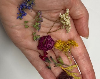 Mini Dried Flowers .25 Ounce Atleast 32 Various Real Tiny Blooms UV Resin Dried Botanical Soap Making Supply USA Grown,roses,oregano,salvia