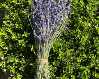 2 Large Dried Lavender Bunch Bouquets Bundles Tied with Jute Cord, Free Shipping, English, French, grosso, Weddings, Photo Staging, Pair