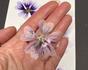 Pressed Purple Hollyhock Flowers: Card Making, Soap Supply (6 count) ID29
