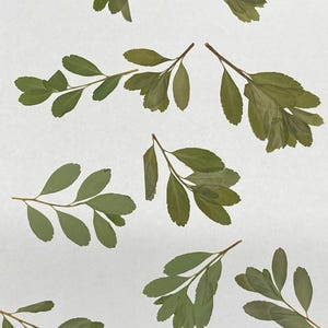 Lot de 10 feuilles pressées, feuilles arrondies pour cartes, embellissement botanique de carte, fourniture de carte de mariage ID9