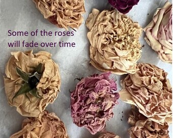 Dried Large Whole Real Rose Heads, Variety, Super Fragrant, potpourri, natural confetti, wedding, wreath supply resin, RTS, Grown in Oregon