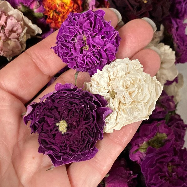 Dried Flowers Resin Etsy