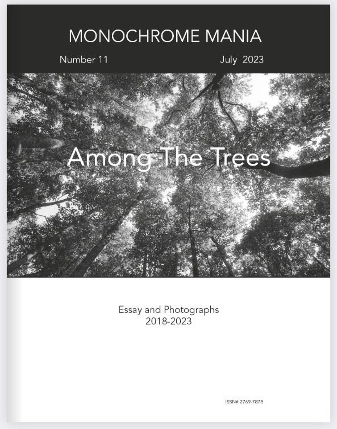 Among the Trees - Monochrome Mania Issue 11. - Etsy