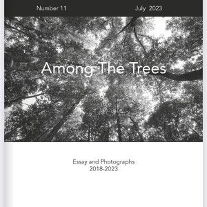 Among The Trees - Monochrome Mania Issue 11.