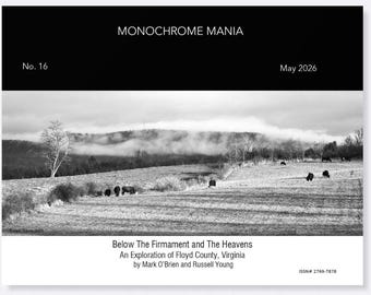 Below the Firmament and the Heavens.  Monochrome Mania No. 16