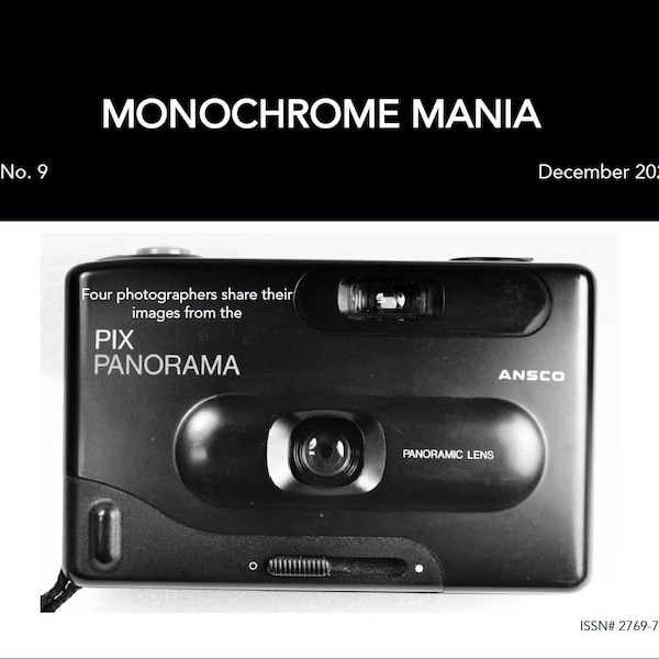 Monochrome Mania No. 9 - Ansco Pix Panorama