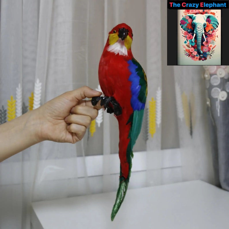 Vibrant Feather Parrot Macaw Statue - Home Decor & Housewarming Gift ...