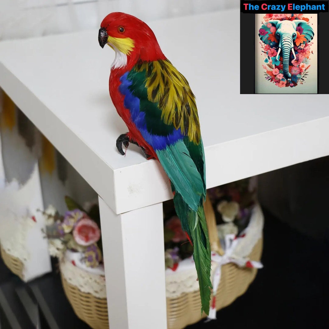 View of Vibrant Feather Parrot Macaw Statue - Home Decor & Housewarming Gift ...