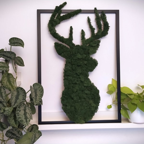 Obraz z mchu - Jeleń - Moss Painting, Deer, Wall moss decor - 50x70