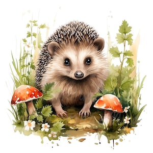18 Cute Hedgehog in Grass Clipart, Clipart de aquarela para impressão, PNG/JPGs de alta qualidade, Download digital, Artesanato em papel, Diários de lixo
