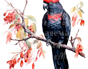 16 Vibrant Cockatoo Clipart, Parrot Clipart, Printable Watercolor clipart, High Quality PNGs, Digital download, Paper craft, junk journals