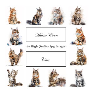 Maine Coon Katzen Clipart - 24 hochwertige JPGs - Digitaler Planer, Aquarell, Junk Journals - Kommerzielle Nutzung inklusive - Digitaler Download