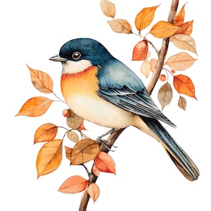 34 Mix oiseau Clipart, oiseau d'art folklorique, clipart aquarelle imprimable, JPG/PNG de haute qualité, téléchargement numérique, créations en papier, journal indésirable