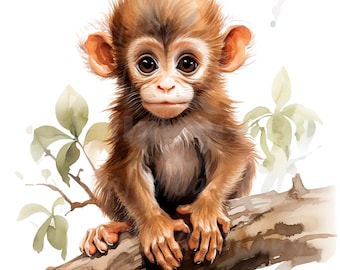18 Monkey Baby Clipart, Monkey for Nursery, Printable Watercolor clipart, High Quality PNGs, Digital download, High resolution, Paper crafts
