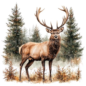 Puede incluir: Una ilustración en acuarela de un majestuoso alce marrón con grandes astas ramificadas de pie en un claro del bosque. La escena presenta altos pinos de color verde oscuro en el fondo y hierbas secas de color marrón dorado en primer plano.