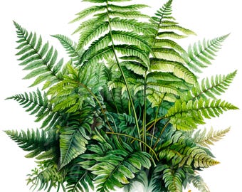 19 Forest Fern Leaves Clipart, Fern Clipart, Printable Watercolor clipart, High Quality PNGs, Digital download, Paper craft, junk journals