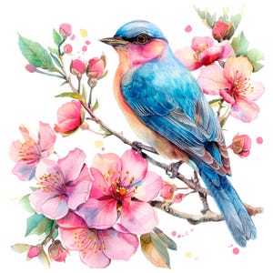 19 Floral Bird Clipart, Bird And Blossom, Printable Watercolor clipart, High Quality JPG/PNGs, Digital download, Paper craft, junk journals