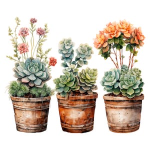 May include: Three potted plants featuring a variety of succulents. The plant on the left has pink flowers, the middle plant has green succulents, and the plant on the right has orange flowers and green succulents. All three plants are in brown terracotta pots.