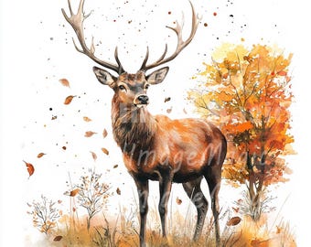24 JPGs Cervo rosso nella foresta Clipart, Clipart acquerello stampabile, Cervo JPG, Download digitale, Alta risoluzione, Artigianato di carta, Diari