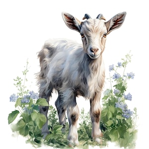 19 農場のヤギのクリップアート、子ヤギ、印刷可能な水彩画のクリップアート、高品質の JPG/PNG、デジタルダウンロード、ペーパークラフト、ジャンクジャーナル