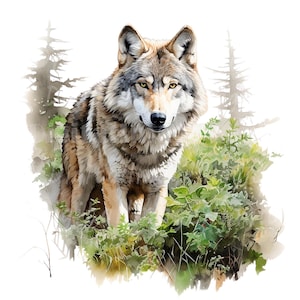 20 Clipart di lupo nella foresta, Clipart acquerello stampabile, PNG/JPG di alta qualità, Download digitale, Alta risoluzione, Lavori di carta, Diari
