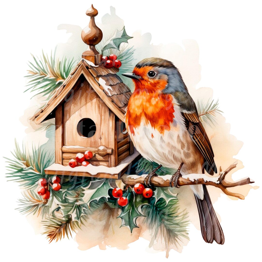 19 Christmas Robin Clipart, Printable Watercolor Clipart, High Quality ...