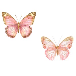 24 Pink Golden Butterfly Clipart, Wall Print, Printable Watercolor ...