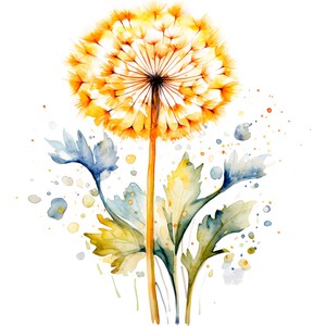 20 One Dandelion Clipart, Botanical Dandelion, Printable Watercolor clipart, High Quality JPG/PNGs, Digital download, Paper craft, Journals