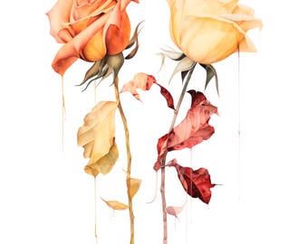 18 Yellow Roses Clipart, Roses bouquet, Printable Watercolor clipart, Digital download, High Quality PNG/JPGs, Paper craft, Junk Journals