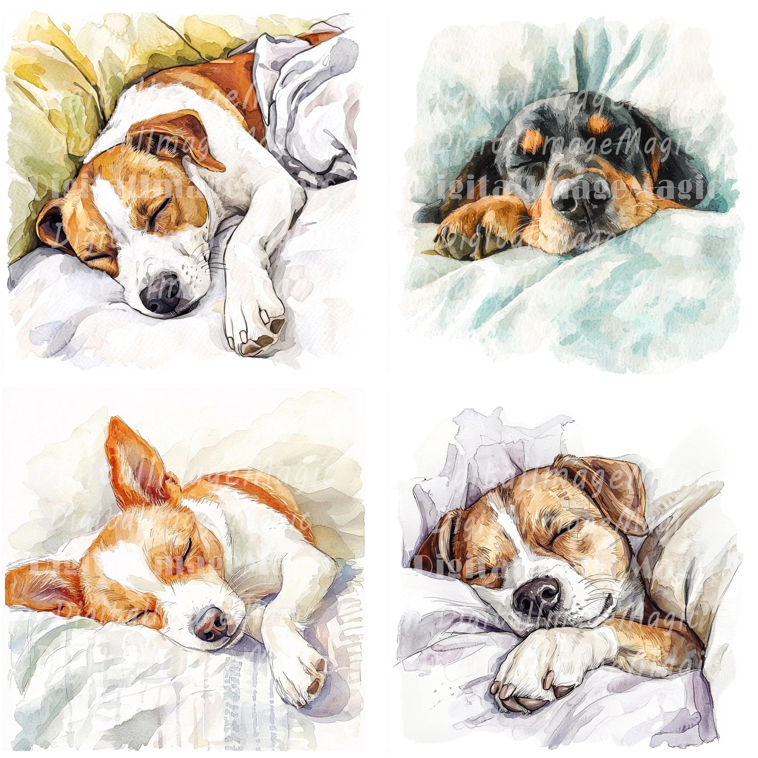 24 Sleeping Dog Clipart, Cozy Dog Clipart, Printable Watercolor Clipart ...