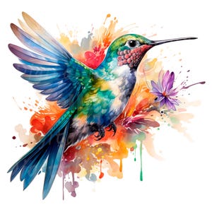 19 Hummingbird Clipart, Adorable Colibri, Printable Watercolor clipart, High Quality PNG/JPGs, Digital download, Paper craft, junk journal