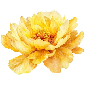19 Żółtych Peonii Clipart, Peonies Print, Wydrukowalne akwarelowe clipart, Wysokiej jakości PNG/JPG, Pobieranie cyfrowe, Rękodzieło papierowe, Dziennik śmieci