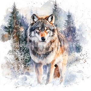 24 Wolf in Winter Clipart, Printable Watercolor clipart, High Quality JPGs, Digital download, High resolution, Paper crafts, Junk journals