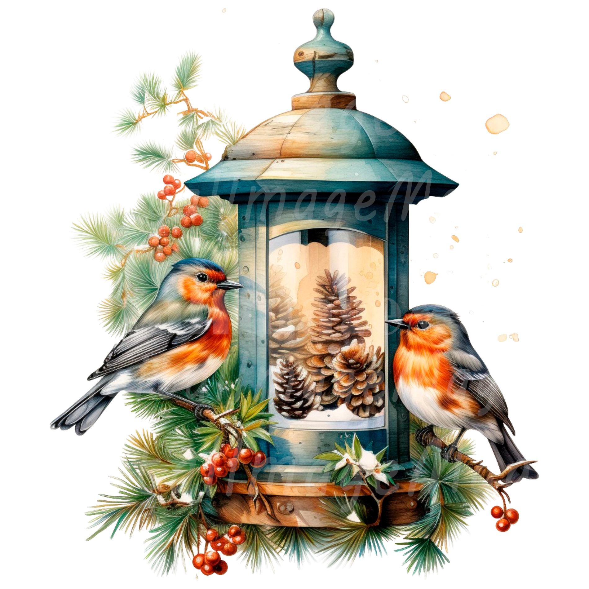 19 Christmas Robin Clipart, Printable Watercolor Clipart, High Quality ...