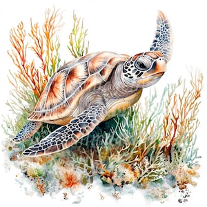 24 Wasserfarben Schildkröte Clipart, Meeresschildkröte, druckbare Aquarell Clipart, hochwertige JPGs, digitaler Download, Papiermodell, Junk Journal