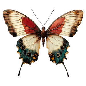 34 borboletas mistas clipart, borboleta, clipart aquarela para impressão, JPG/PNGs de alta qualidade, download digital, artesanato em papel, diário de lixo