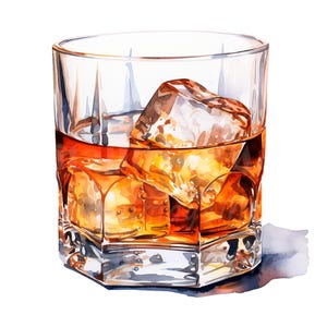 19 whiskyglazen clipart, whisky en ijs clipart, afdrukbare aquarel clipart, hoge kwaliteit JPG/PNG's, Digitale download, Papierkunst