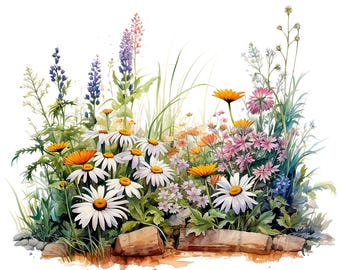 May include: A watercolor painting of a variety of flowers in a garden setting. The flowers include daisies, lavender, and other wildflowers in shades of pink, purple, yellow, and white.