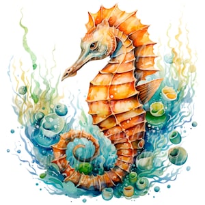 18 sjöhäst Clipart, Hippocampus, utskrivbara akvarell clipart, högkvalitativa JPG/PNG, digital nedladdning, papperspyssel, skräpjournal