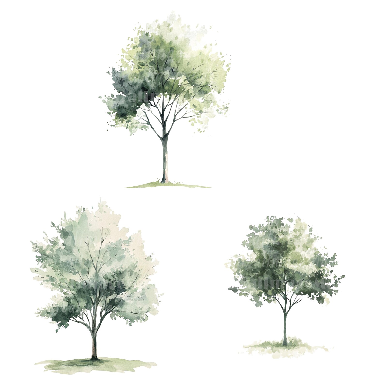 24 Minimalistic Tree Clipart, Simple Tree, Printable Watercolor Clipart ...