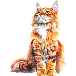 24 Maine Coon Cats Clipart, Cats Print, Printable Watercolor clipart, High Quality PNGs, Digital download, Paper craft, Junk journals