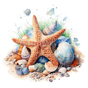 24 Sea Shells Clipart, Seashell Clipart, Printable Watercolor clipart, High Quality PNG/JPGs, Digital download, Paper craft, Junk Journal