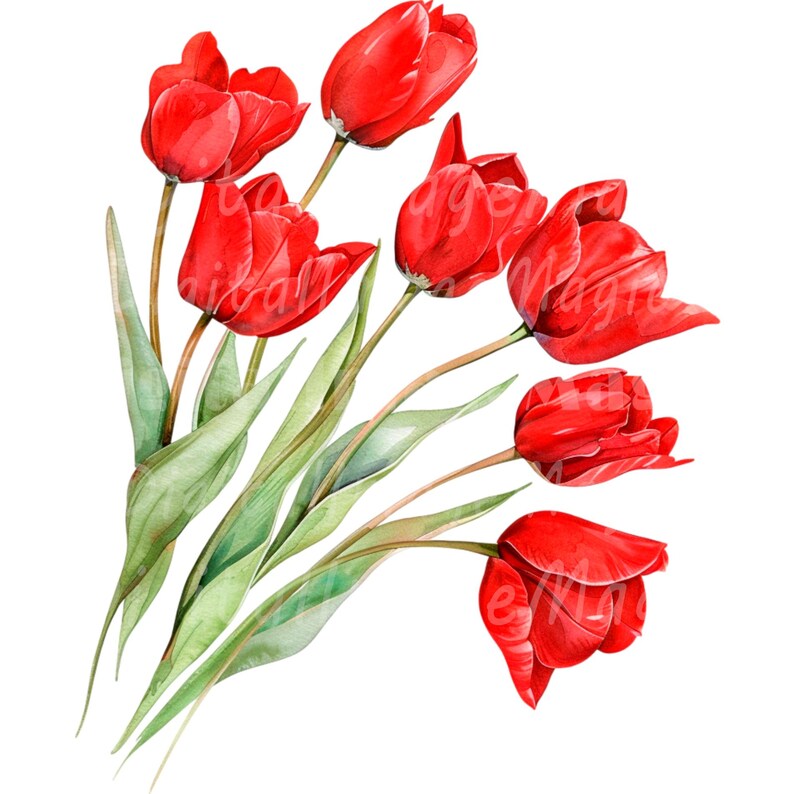 18 Spring Flowers Clipart, Tulips Clipart, Printable Watercolor Clipart ...
