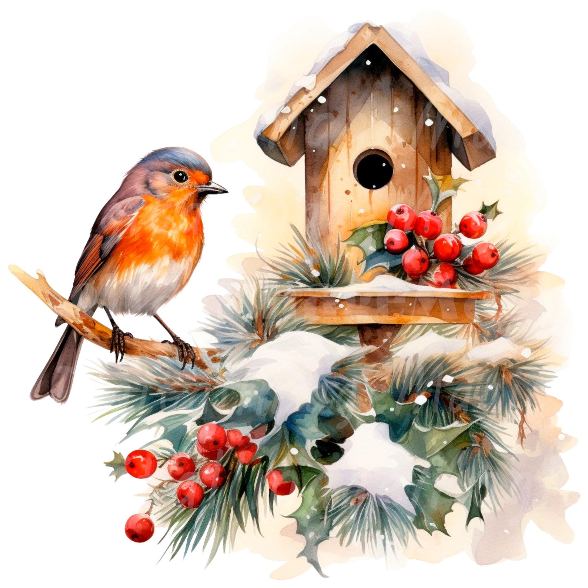19 Christmas Robin Clipart, Printable Watercolor Clipart, High Quality ...