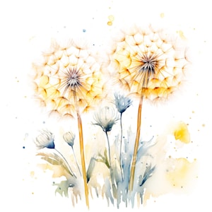 24 Dandelion Clipart, Botanical Dandelion, Printable Watercolor clipart, High Quality JPG/PNGs, Digital download, Paper craft, Junk Journals
