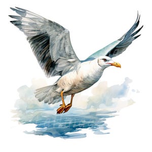 18 Seagull Clipart, Gull Clipart, Printable Watercolor clipart, High Quality JPG/PNGs, Digital download, Paper craft, junk journals