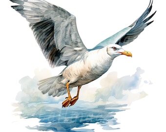 18 Möwe Clipart, druckbare Aquarell Clipart, hochauflösende JPG / PNGs, digitaler Download, Papiermodell, Junk Journals