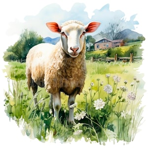 19 PNG Farmyard Sheep Clipart, Printable Watercolor clipart, High Quality PNG, Digital download, High resolution, Paper craft, junk journals