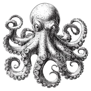 18 Octopus Clipart, Octopus Ink, Black White, Printable Watercolor clipart, High Quality JPG/PNG, Digital download, Paper craft, Journals