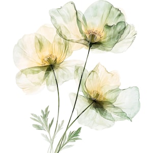 May include: Three delicate, translucent flowers in shades of green and yellow. The flowers have a watercolour-like appearance and are arranged in a bouquet.